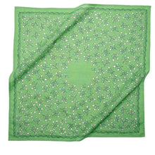 Load image into Gallery viewer, Posey Bandana No. 106