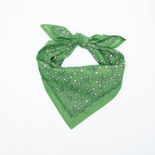 Load image into Gallery viewer, Posey Bandana No. 106