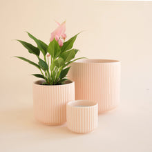 Load image into Gallery viewer, Lucy Planter 3 Inch- Ballerina