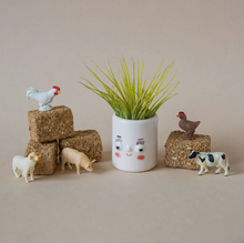 Load image into Gallery viewer, Gerry Mini Faceplanter
