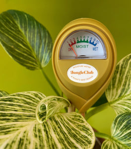 Moisture Meter For Plants- Green