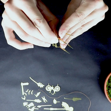 Load image into Gallery viewer, Tiny Bike Adventure For Your Plants