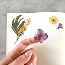 Load image into Gallery viewer, Pressed Flowers Sticker Sheet