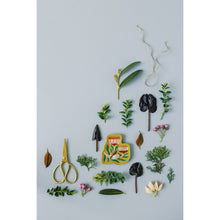 Load image into Gallery viewer, Venus Mustard Flower Trinket Tray
