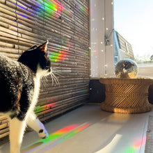 Load image into Gallery viewer, Greenhouse Glow Rainbow Maker Sticker