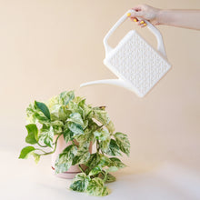 Load image into Gallery viewer, Breeze Block Watering Can- Ivory
