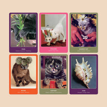 Load image into Gallery viewer, The Cat Oracle: 33 Card Deck &amp; Guide Book
