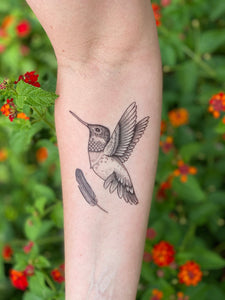 Hummingbird Temporary Tattoo 2 Pack