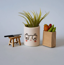 Load image into Gallery viewer, Four Eyes Mini Faceplanter
