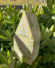 Load image into Gallery viewer, You Are Pure Sunshine 3D House Card
