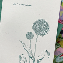 Load image into Gallery viewer, Allium Botanical Notebook
