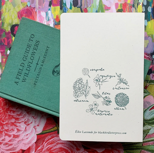 Allium Botanical Notebook