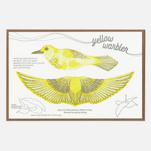 Load image into Gallery viewer, Warbler Pop-Out Bird Card
