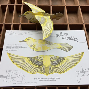 Warbler Pop-Out Bird Card