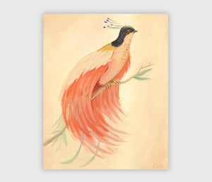 Bird Of Paradise Print
