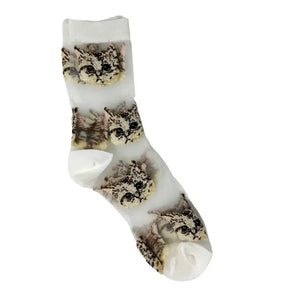 Cat Mesh Socks In White