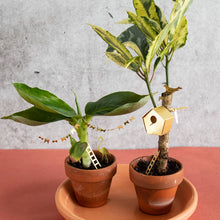 Load image into Gallery viewer, Tiny Birdhouse For Your Plants

