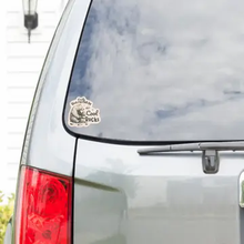 Load image into Gallery viewer, Distracted By Cool Rocks Bear Vinyl Sticker
